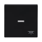 BUSCH-JAEGER - Wippe mit Aufdruck Licht mit transparenter Kalotte schwarz matt - Plattform 63