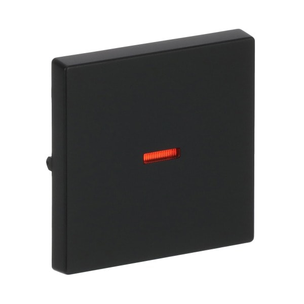 BUSCH-JAEGER - Wippe mit kleiner roter Kalotte Wippe schwarz matt - Plattform 63