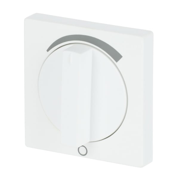 BUSCH-JAEGER - Zentralscheibe mit Aufdruck Stufenschalter Drehknopf studiow matt - Plattform 63