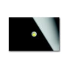BUSCH-JAEGER - PB/U1.3.1,priOn Bedient., 1f Glas SW