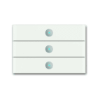 BUSCH-JAEGER - PB/U3.8.1, priOn Bedient., 3f, WS Glas
