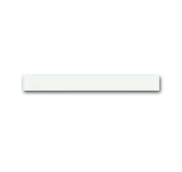 BUSCH-JAEGER - PAO/Z1.8.1, priOn Abschlussl o, WS Glas