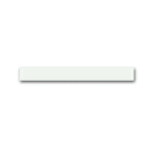 BUSCH-JAEGER - PAO/Z1.8.1, priOn Abschlussl o, WS Glas