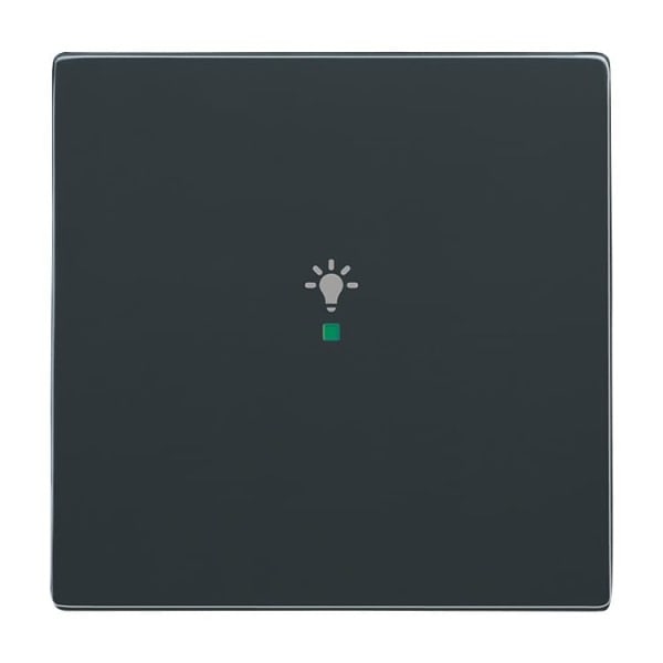 BUSCH-JAEGER - Wippe 1-fach für flex f@h KNX mit Symbol Licht anthrazit - Plattform 63
