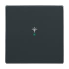 BUSCH-JAEGER - Wippe 1-fach für flex f@h KNX mit Symbol Licht anthrazit - Plattform 63