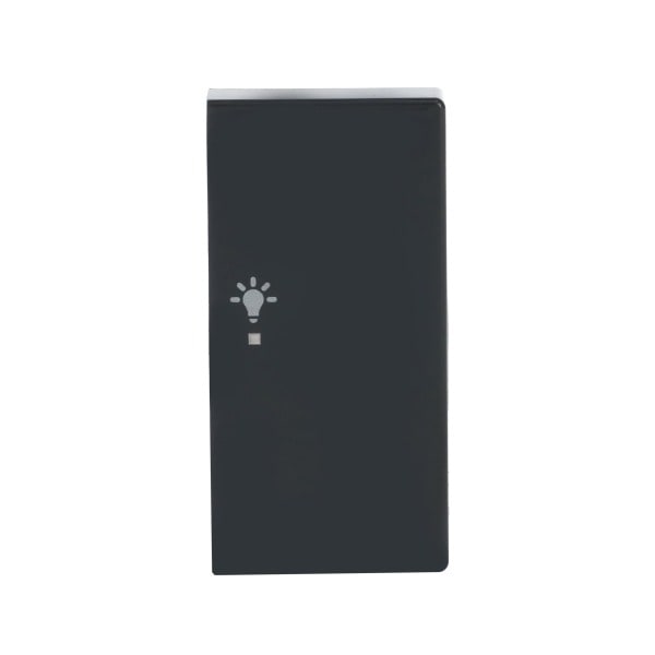 BUSCH-JAEGER - Wippe 2-fach rechts für flex f@h KNX mit Symbol Licht anthrazit - Plattform 63