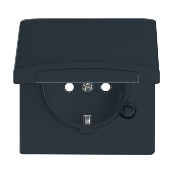 BUSCH-JAEGER - SCHUKO Steckdosen-Einsatz Safety+ mit Klappdeckel anthrazit - Allwetter 44(IP44)