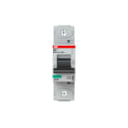 ABB - HLS-Sicherungsautomat 1-polig Charakteristik D Bemessungsstrom 40A 25kA/400VAC