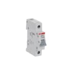 ABB - E201/80G Trennschalter 1P,80A,Schaltgriff grau