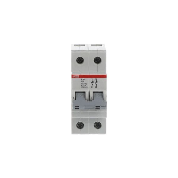 ABB - E202/80G Trennschalter 2P,80A,Schaltgriff grau