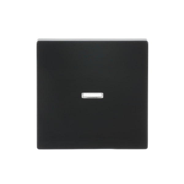 BUSCH-JAEGER - Wippe 1-fach mit kleiner transparenter Kalotte anthrazit - Plattform 63