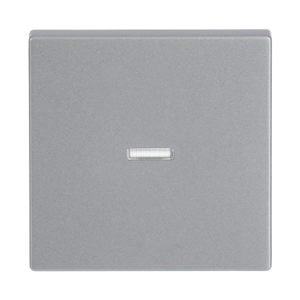 BUSCH-JAEGER - Wippe 1-fach mit kleiner transparenter Kalotte alusilber - Plattform 63
