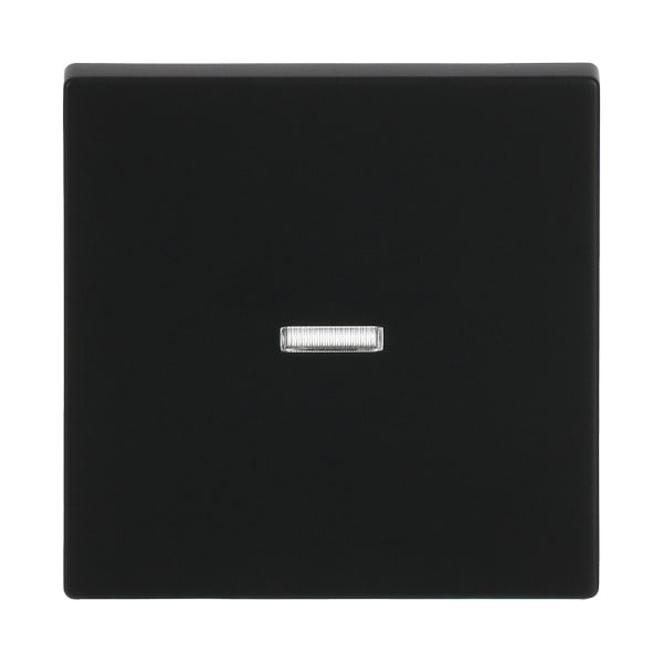 BUSCH-JAEGER - Wippe 1-fach mit kleiner transparenter Kalotte schwarz matt - Plattform 63