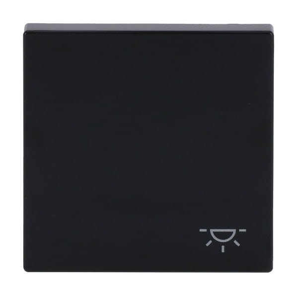 BUSCH-JAEGER - Wippe mit Aufdruck Licht anthrazit - Plattform 63