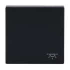 BUSCH-JAEGER - Wippe mit Aufdruck Licht anthrazit - Plattform 63