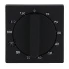 BUSCH-JAEGER - Zentralscheibe Drehknopf Zeitschaltuhr Druck 10-120 schwarz matt - Plattform 63