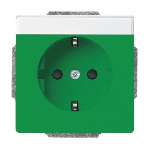 BUSCH-JAEGER - SCHUKO Steckdosen-Einsatz Safety+ mit Beschriftungsfeld grün - Plattform 63