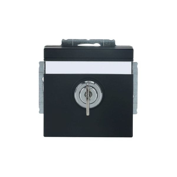 BUSCH-JAEGER - SCHUKO-Einsatz Safety+Klappdeckel/verschiedn schließend schwarz mat Plattform 63