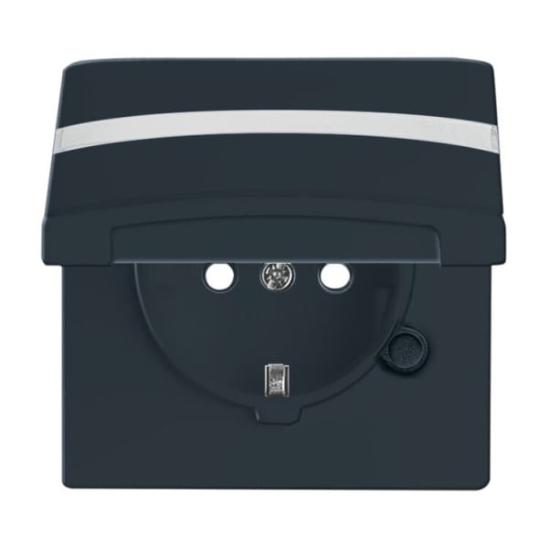 BUSCH-JAEGER - SCHUKO-Einsatz Safety+ mit Klappdeckel/Beschriftung anthrazit Allwetter 44(IP44)