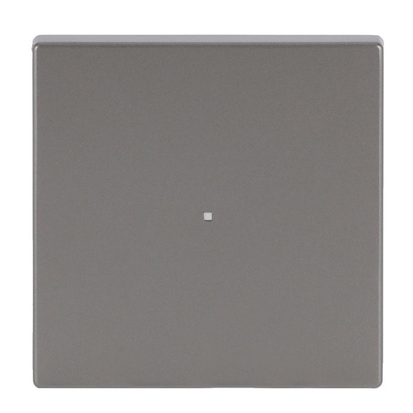 BUSCH-JAEGER - Wippe 1-fach für flex, f@h, KNX edelstahl - pur edelstahl