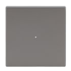 BUSCH-JAEGER - Wippe 1-fach für flex, f@h, KNX edelstahl - pur edelstahl