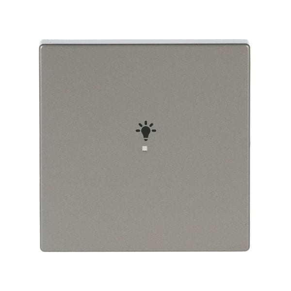 BUSCH-JAEGER - Wippe 1-fach für flex f@h KNX mit Symbol Licht edelstahl - pur edelstahl