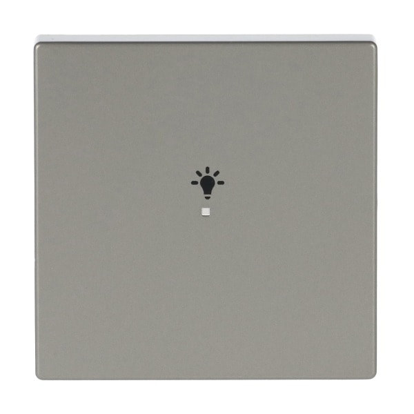 BUSCH-JAEGER - Wippe 1-fach für flex f@h KNX mit Symbol Licht edelstahl - pur edelstahl