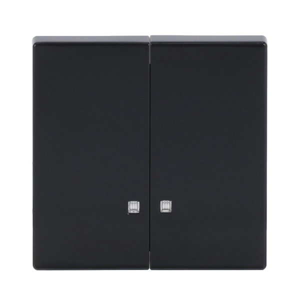 BUSCH-JAEGER - Wippe 2-fach mit kleiner transparenter Kalotte anthrazit - Plattform 63