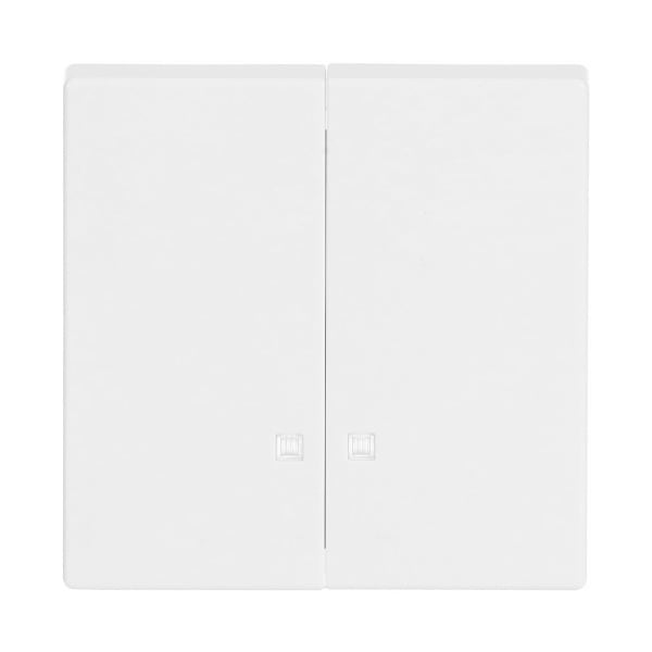 BUSCH-JAEGER - Wippe 2-fach mit kleiner transparenter Kalotte studioweiß - Plattform 63