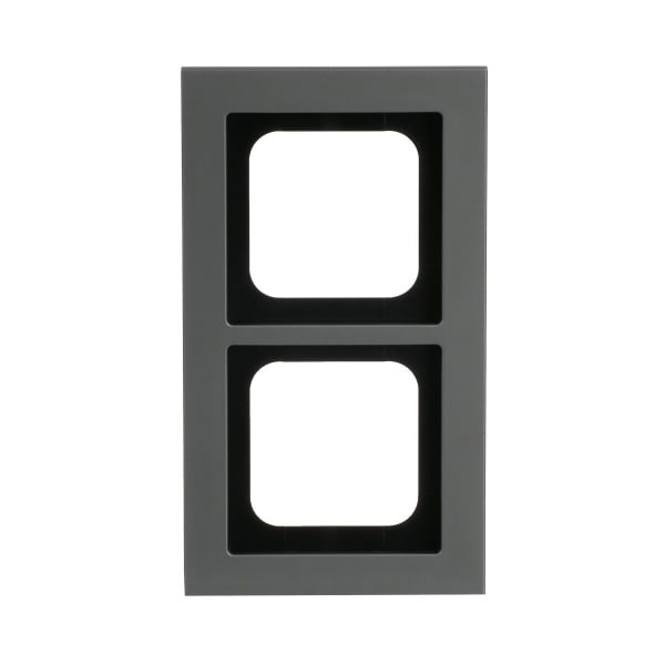 BUSCH-JAEGER - Abdeckrahmen 2-fach platin - Busch-axcent pur