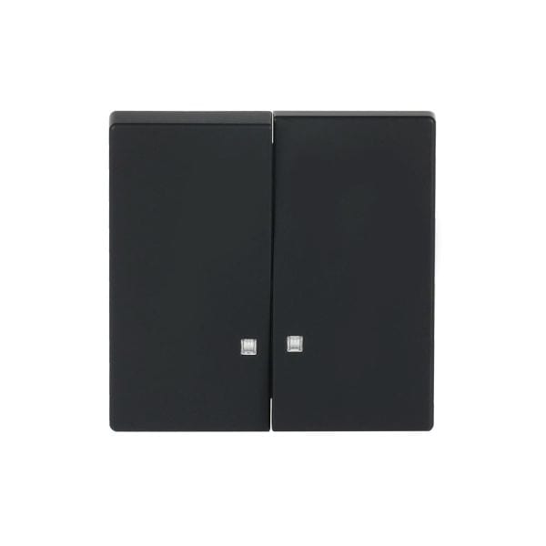 BUSCH-JAEGER - Wippe 2-fach mit kleiner transparenter Kalotte schwarz matt - Plattform 63