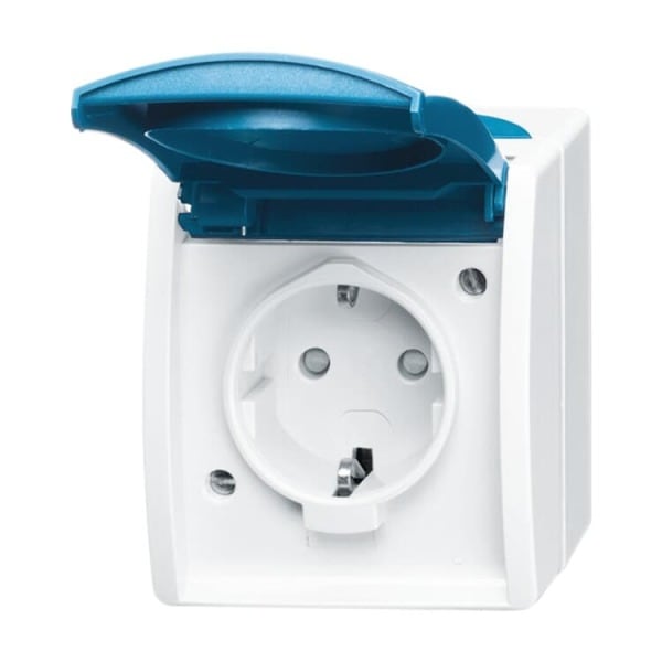 BUSCH-JAEGER - SCHUKO Steckdose Safety+ mit Klappdeckel 16 A grau/blaugrün - ocean