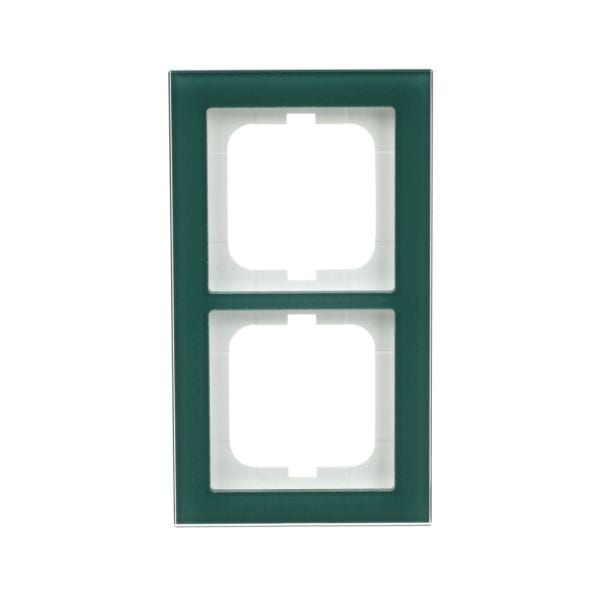 BUSCH-JAEGER - Abdeckrahmen 2-fach Glas Avocado - Busch-axcent pur