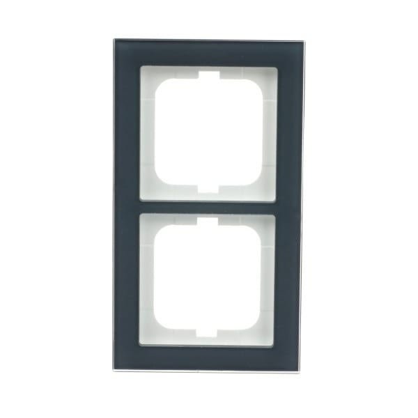 BUSCH-JAEGER - Abdeckrahmen 2-fach Glas Auster - Busch-axcent pur
