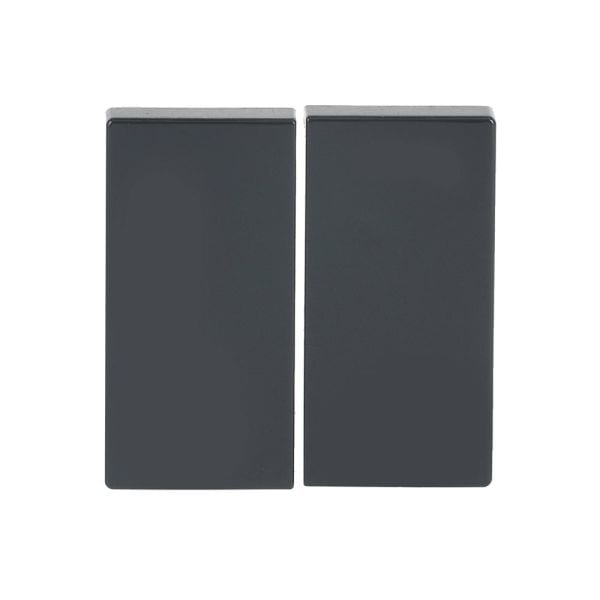 BUSCH-JAEGER - Smart Switch 2-fach Wippe anthrazit - Plattform 63