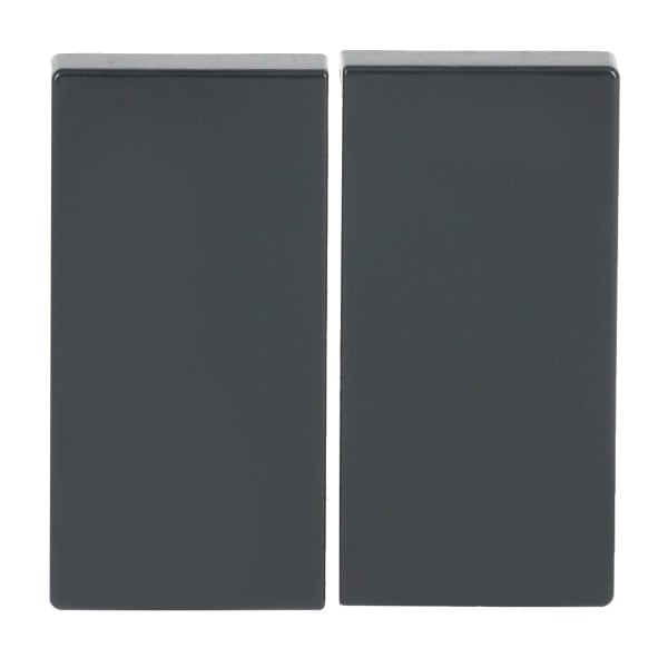 BUSCH-JAEGER - Smart Switch 2-fach Wippe anthrazit - Plattform 63