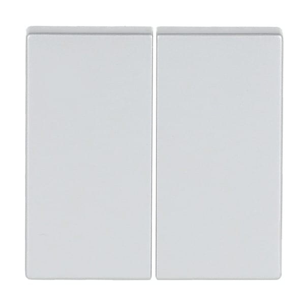 BUSCH-JAEGER - Smart Switch 2-fach Wippe alusilber - Plattform 63