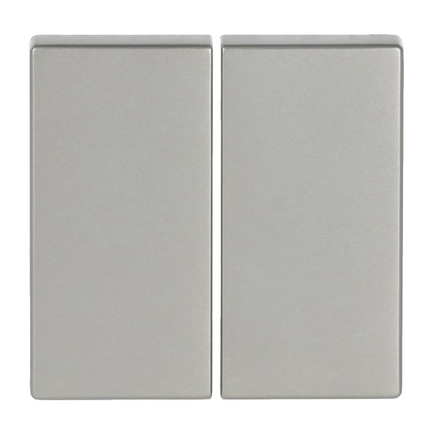 BUSCH-JAEGER - Smart Switch 2-fach Wippe edelstahl - pur edelstahl