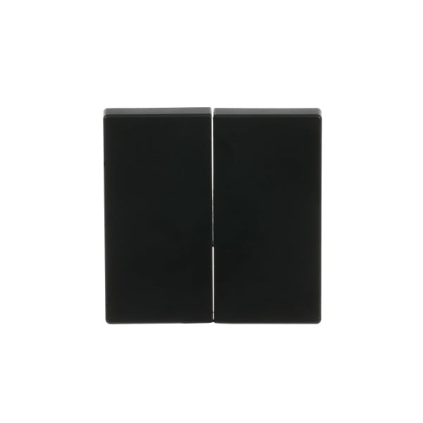 BUSCH-JAEGER - Smart Switch 2-fach Wippe schwarz matt - Plattform 63