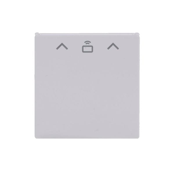 BUSCH-JAEGER - Zentralscheibe mit Aufdruck Pfeile Card RFID studioweiß - Plattform 63