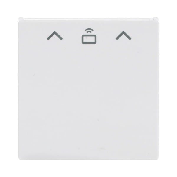 BUSCH-JAEGER - Zentralscheibe mit Aufdruck Pfeile Card RFID studioweiß - Plattform 63