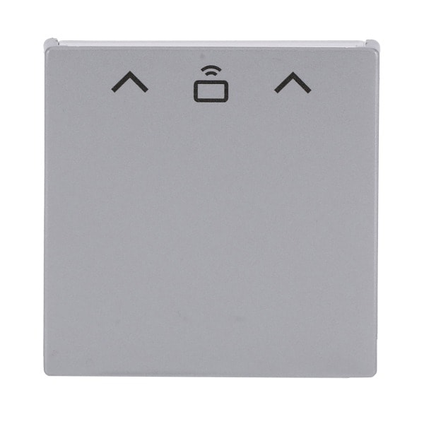 BUSCH-JAEGER - Zentralscheibe mit Aufdruck Pfeile CARD RFID alusilber - Plattform 63