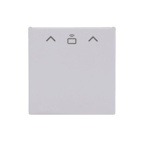BUSCH-JAEGER - Zentralscheibe mit Aufdruck Pfeile Card RFID studioweiß matt - Plattform 63