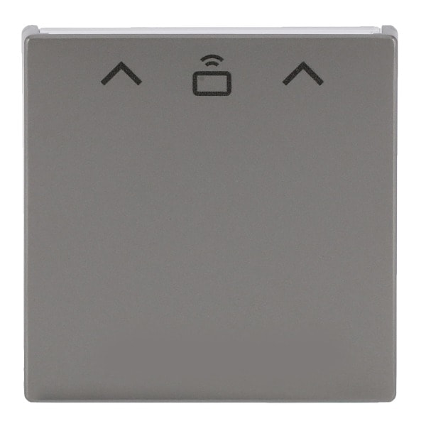 BUSCH-JAEGER - Zentralscheibe mit Aufdruck Pfeile CARD RFID edelstahl - pur edelstahl