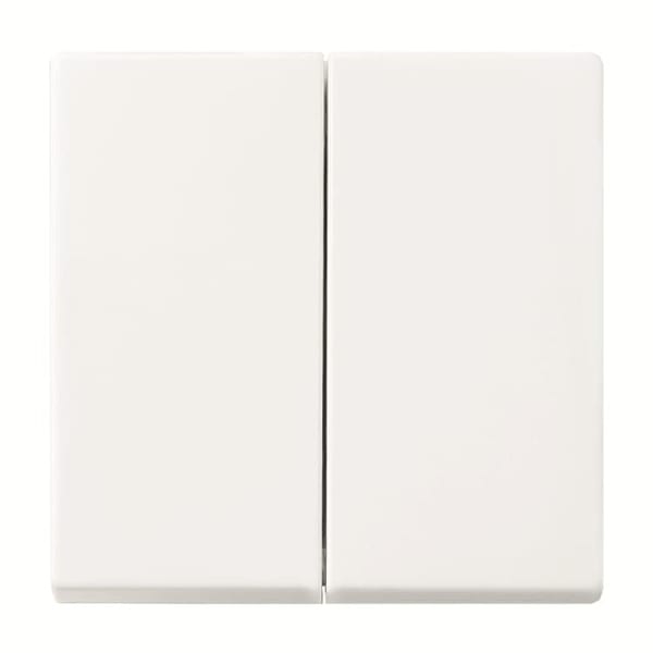 BUSCH-JAEGER - Smart Switch 2-fach Wippe alpinweiß - balance SI