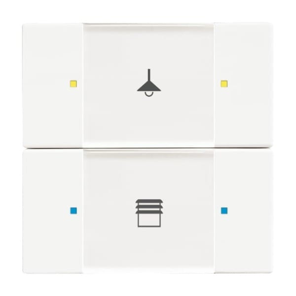 BUSCH-JAEGER - KNX Bedienelement 2/4-fach Multifunktion/Farbkonzept
