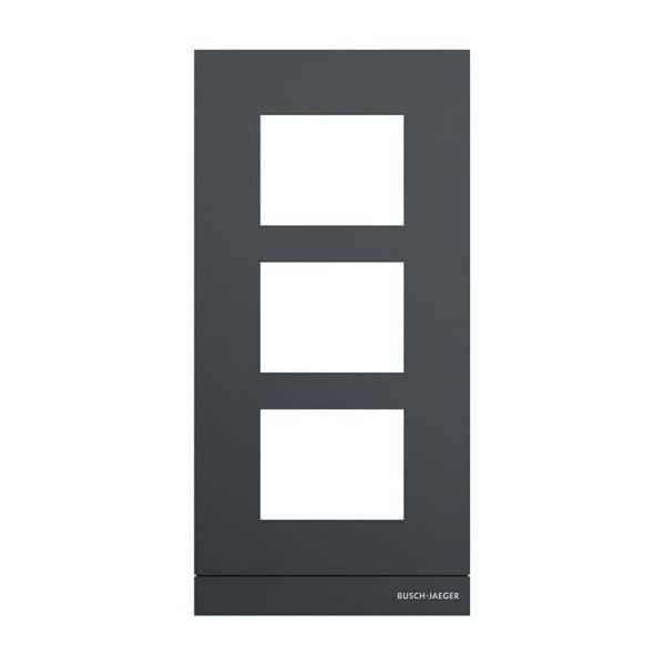 BUSCH-JAEGER - Frontplatte Audio 1/3 anthrazit - Busch-Welcome 2-Draht