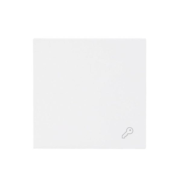 BUSCH-JAEGER - Wippe mit Aufdruck Schlüssel studioweiß matt - art linear