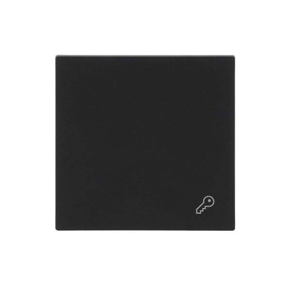 BUSCH-JAEGER - Wippe mit Aufdruck Schlüssel schwarz matt - art linear
