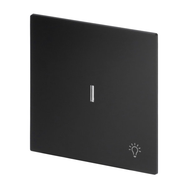 BUSCH-JAEGER - Wippe mit Aufdruck Licht mit transparenter Kalotte schwarz matt - art linear